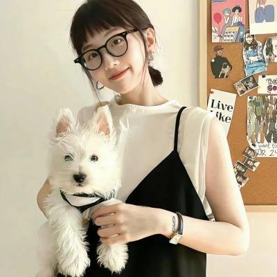 哈莉·奎茵第一季